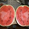 スイカ、切りました。