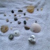 石と貝を干す