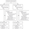 SLEにおけるベリムマブの安全性を調査した過去最大のRCT（BASE試験