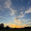 1000×10〜6月16日(火)
