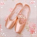 ... Ballet Diary ...
