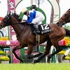 【一口馬主日記】ロードフォアエース編！