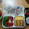 2018. 5/22 (火) ナゲット弁当