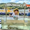 8/8(土)避暑地三河湖はやっぱり過ごしやすい🎐バスはシャロークランクでバラシ２回💦どちらも岬周り💡