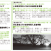 議会の仕組み２（〜委員会って？〜）　ぎかいだより110号（令和3年11月1日号）の解説を通して