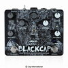 「Old Blood Noise Endeavors Blackcap」！アナログトレモロとデジタルハーモニックトレモロを組み合わせたデュアルトレモロ！