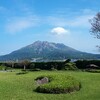 今の時期咲く桜⁉