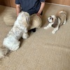 おんなのこ同士って時々めんどくさい