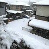 雪の朝