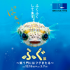 ふれあい科学館 特別企画展「ふぐ展」6月20日（日）まで開催期間延長中！ 