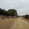 大人になって最後の定期試験