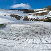 鳥海山ー残雪と花の季節ー