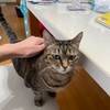 帰省終わり！