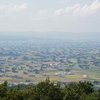 日本三大散居村　砺波平野の散居村展望台