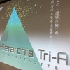 AnotherVision「Hierarchia Tri-Al (ヒエラルキアトライアル)」
