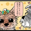 犬ヒエラルキー