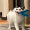 漢マルオ！！！退かぬ媚びぬ省みぬ！！！  