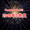 2016年は激動の年に！今年の抱負と目標！