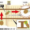 線路に挟まり列車止めるカメ　いったいどこから？