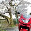 冬だからバイクは冬眠中