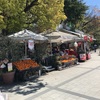 【ボンジョルノー！！】広島　原爆ドームから徒歩２分！　外のテラス席と絶品イタリアン！Italiano　Caffe Ponte （カフェポンテ）