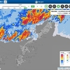 ［24/06/16］かのと ゐ ０９ｈ近く Alarm 前に起きる