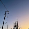 還元