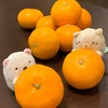 たまにはしっかりビタミンC