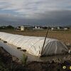 稗田町の水口まつり