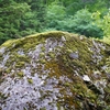 あさもよし紀人羨しも真土山･･･巻第1-55