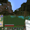 【マイクラ】沼地で空色の花ヒスイランに出会った！｜柚子クラ日誌 Part221