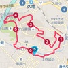 今日も翼竜コース６．２ｋｍジョグと庭木の剪定