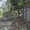 第1116話　源頼朝を助けた池禅尼