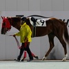 愛馬観戦記　R5-57地【ラッキーストーリー　射手座ダッシュB2B3選抜馬】