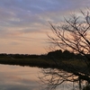 肘曲り池夕景（群馬県板倉町）