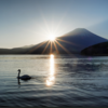 愛犬と一緒に楽しむ富士山の魅力を山中湖で体験