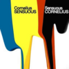 Cornelius-SENSUOUS 全曲感想　音を細分化するという実験　