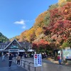 紅葉の高尾山　混雑を避けるには8時半までの登山スタートがおすすめ！