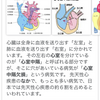 心室中隔欠損診断から今の成長