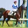 ４日に帰厩済。次走は１９日の中京・ダ１４００ｍ（牝馬限定）を予定しています。☆シベール