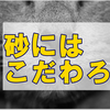 健康管理のためにも!一緒に暮らす猫のおトイレにはこだわりたいな