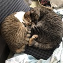 鬱と向き合う、時に仕事を辞める勇気も