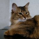 『笛物語』　フルート・白川真理