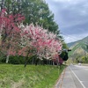 2026年5月 千葉1300km 2日目 松本〜高山〜氷見〜魚津