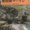 西洋中世奇譚集成 魔術師マーリン（ロベール・ド・ボロン）