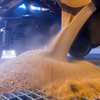 ポーランドとハンガリーによるウクライナ産穀物の輸入禁止措置について、EUが意見を述べる