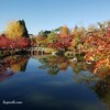 秋の京都観光　紅葉狩り♪　見ごろの もみじの永観堂！！絶景！！御朱印集め