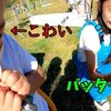 6月27日の動画