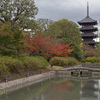 京都の紅葉2017～東寺と五重塔