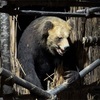 三毛別ヒグマ事件現場へ行ってきた。”腹破らんでくれ！首食って殺して！”